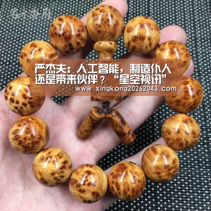 严杰夫:人工智能,制造仆人还是带来伙伴?“星空视讯”(图3) 星空娱乐