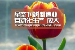 星空下载