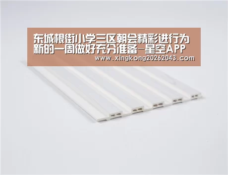 东城根街小学三区朝会精彩进行为新的一周做好充分准备-星空APP(图4) 星空娱乐