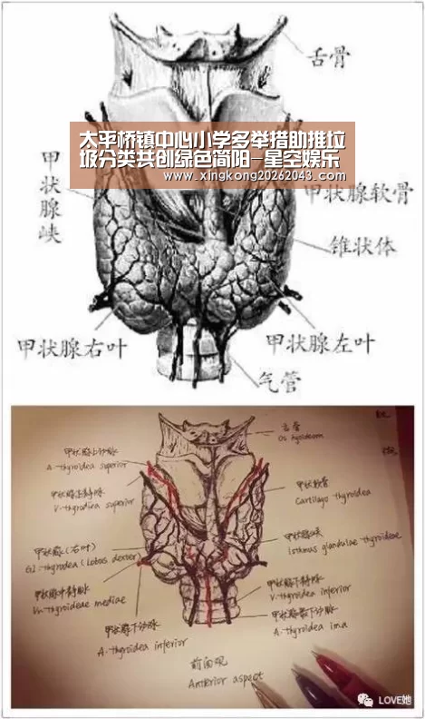 太平桥镇中心小学多举措助推垃圾分类共创绿色简阳-星空娱乐(图1) 星空娱乐