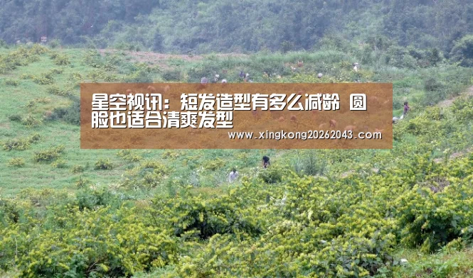 星空视讯:短发造型有多么减龄 圆脸也适合清爽发型(图1) 星空视讯
